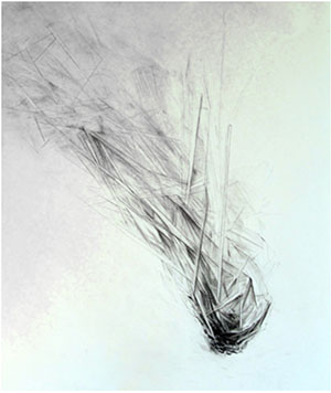 Karina Noel Hean, detail of Gathering II installation graphite, 2011